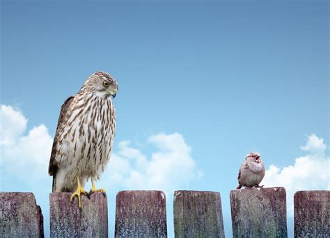 Autoencoder Dimensionality Reduction 的图像结果