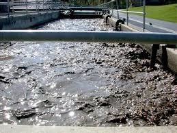 Image result for Environmental Engineering Application Using