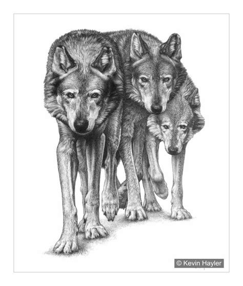 Add Depth to Figure Drawing 的图像结果