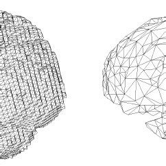 Image result for Brain Decimation