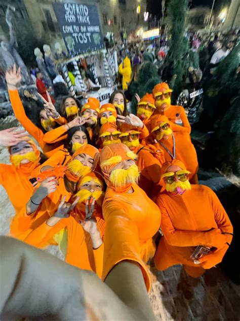 lorax carnival costume | Cute group halloween costumes, Fun halloween ...