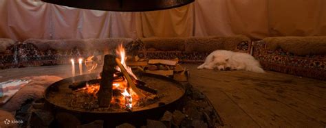 Husky Sledding Experience from St Petersburg - Klook India