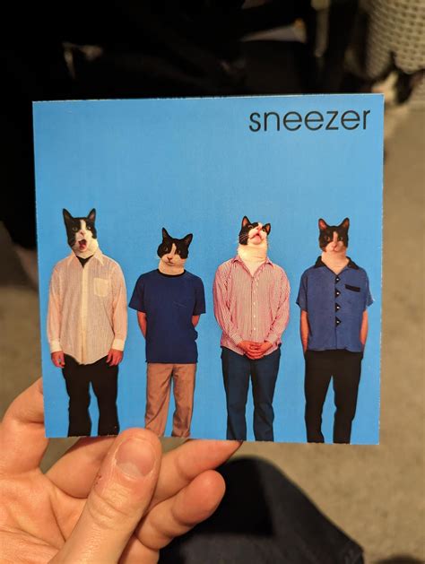 My cat has pre-born nasal issues which causes him to sneeze a lot. I've nicknamed him sneezer ...