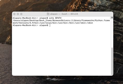 Image result for Codebocks Path Variable