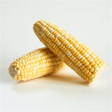 When Can Babies Eat Beans? - Preparing Beans for Baby-Led Weaning