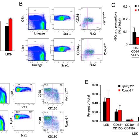 HSC Matrix 的图像结果