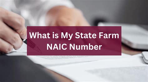 What Is My State Farm Insurance NAIC Number? - Strickler Insurance ...