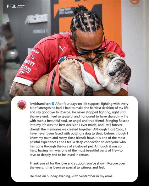 F1 Driver Lewis Hamilton loses his beloved Roscoe - Blogs & Forums