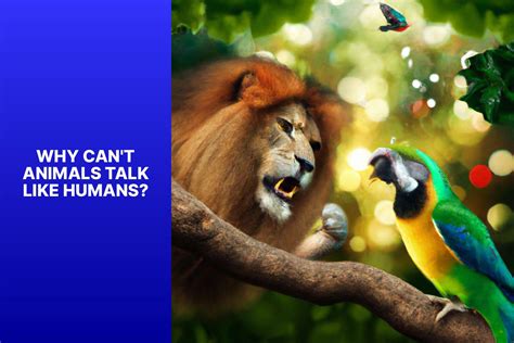 Animal Communication: Why Can't Animals Talk Like Humans ...