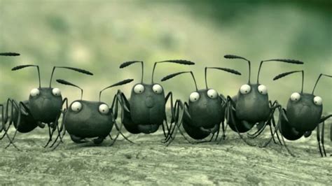《昆虫总动员》-高清电影-完整版在线观看