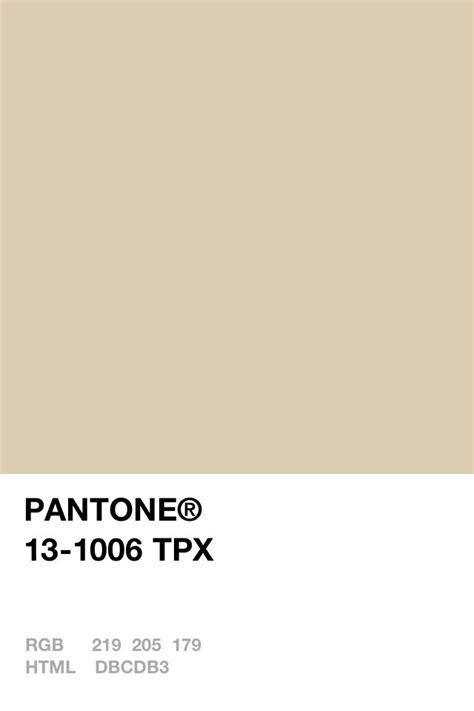 Image result for Colors in Python Program
