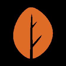 miniOrange Secure It Right : Identity and Access Management Solution