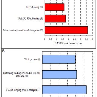 Image result for David Database Tutorial