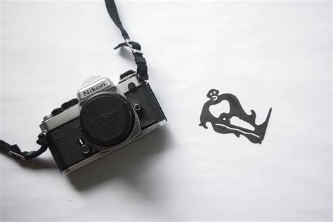 Image result for Nikon Shutter Repair