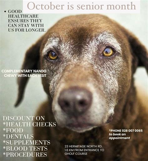 Hermitage Veterinary Clinic (@hermitagevetclinic) • Instagram photos ...