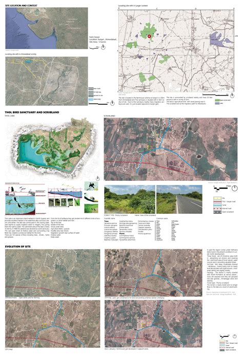 Amidst Wodland | CEPT - Portfolio