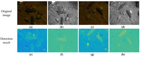 Underwater Hyperspectral Target Detection with Band Selection