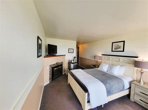 Shell Seeker | The Seaside Oceanfront Inn