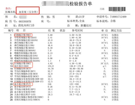 一份病理报告单中包含着哪些重要信息 健康教育 -首都医科大学附属北京朝阳医院