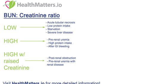 What is the BUN/Creatinine Ratio?