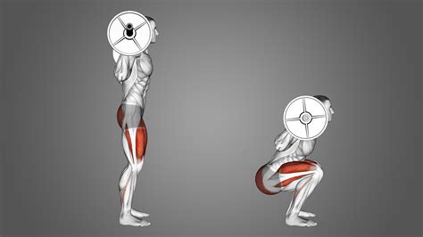 Does Squatting Make You Shorter? Yes and No, Here's Why - Inspire US