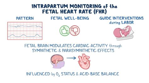 Video: Intrapartum fetal heart rate monitoring: Clinical sciences | Osmosis