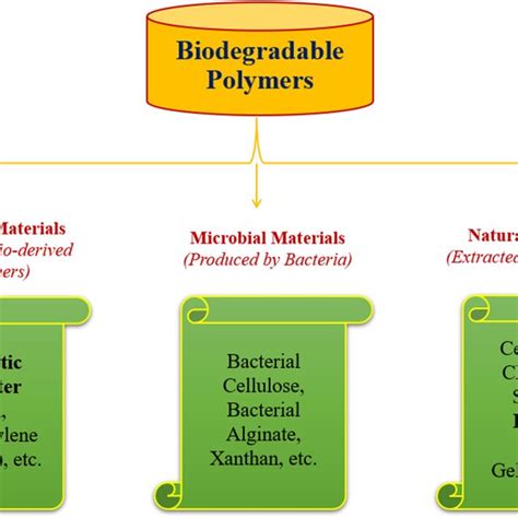 Image result for Biodegradable Polymers Examples