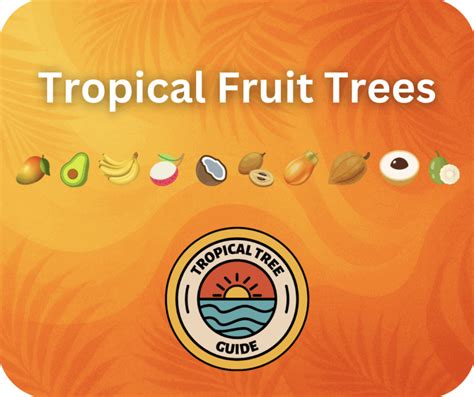 Rare Tropical Fruit Trees 的图像结果