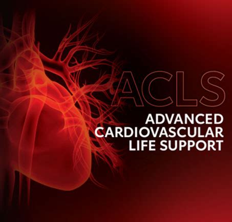 AHA ACLS Training - Academy of Global Education (AGE) - Healthcare ...
