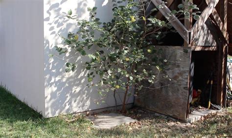 Small Concrete Slab 的图像结果