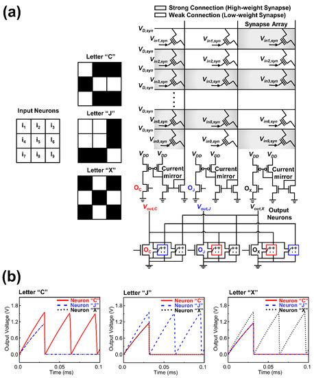 A Vertical Single Transistor Neuron with Core–Shell Dual-Gate for ...