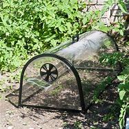 Image result for Glass Garden Cloches for Sale