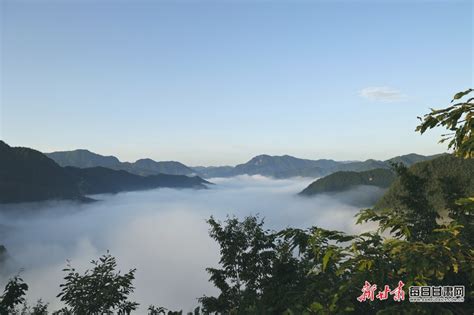陇南康县城关镇冯家峡的云海太美了 - 国际在线移动版