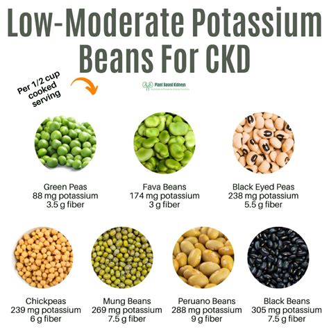 Beans & Kidney Disease - Plant Based Kidneys