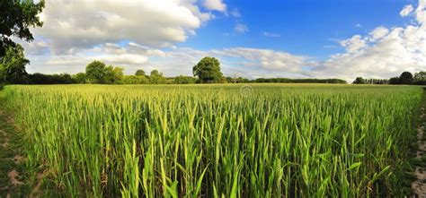 Farmland 的图像结果