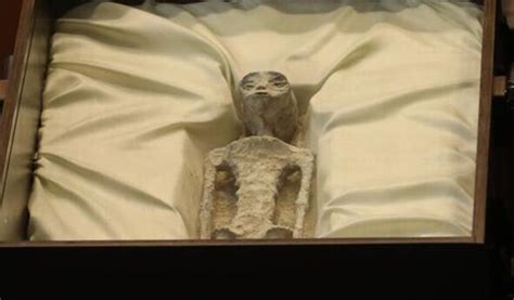 Image result for Alien Movie Pregnancy Women