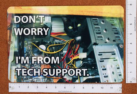 Image result for Cat Fixing Computer