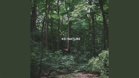 Image result for Sound of Spring