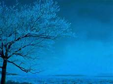 Blue Tree Wallpaper by Blue Tree Wallpaper Christian Wallpapers And Backgrounds Blue Tree Wallpaper