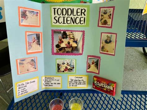 Image result for Library Science Fair Display