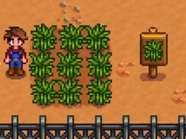 Fiber and Cavecarrot Seeds at Stardew Valley Nexus - Mods and community