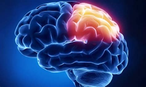 Tau-PET superior to phospho-tau for predicting cognitive decline in ...