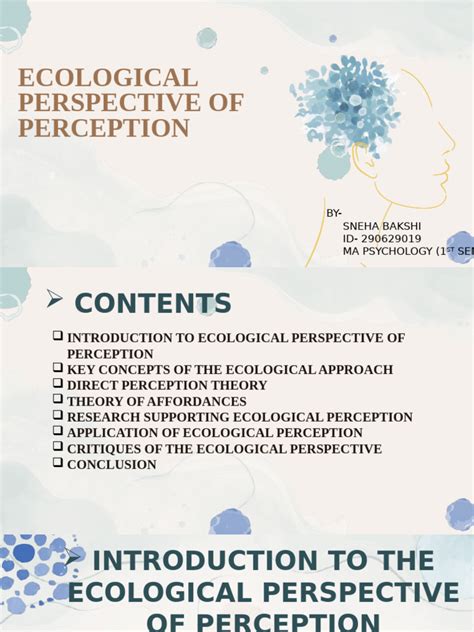 Image result for An Ecological Approach to Visual Perception