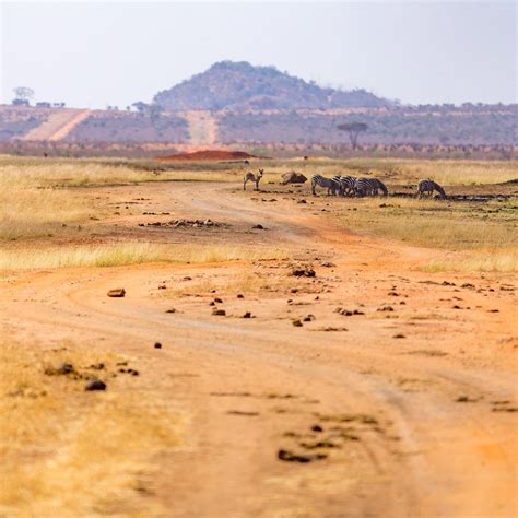 BEKA SAFARIS - All You Need to Know BEFORE You Go 2026 (with Photos ...