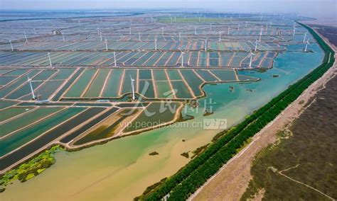 苏东另类“黄金”海岸 中国最长的淤泥质自然岸线在此珍藏 | 中国国家地理网