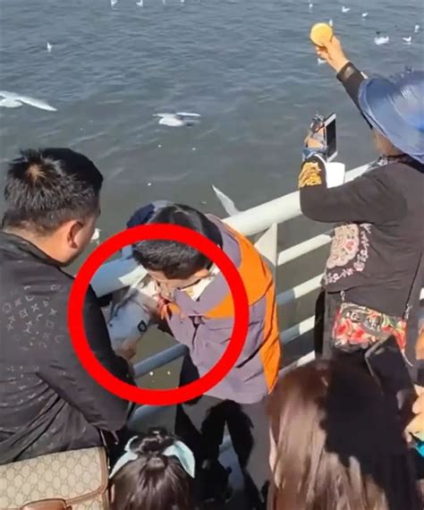 家长帮孩子抓海鸥强行往瓶子里塞，处罚来了！_腾讯新闻
