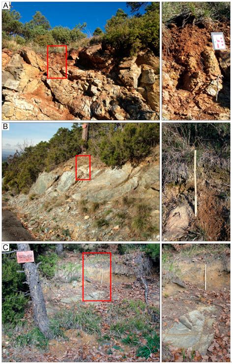 Potentially Toxic Elements in Ultramafic Soils: A Study from ...