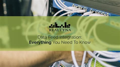 Data Feed API 的图像结果