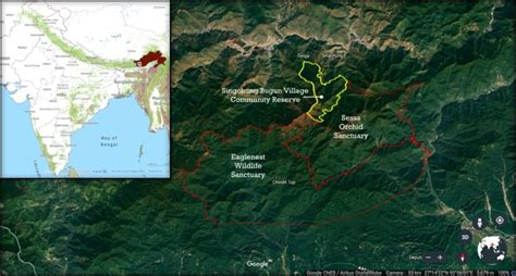 From a New Bird to a Community Reserve, Arunachal's Bugun Tribe Sets ...