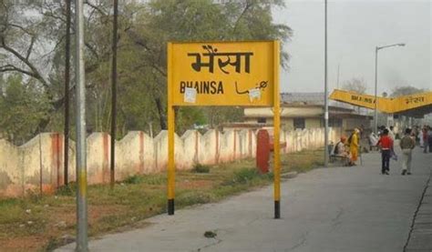 Bhainsa to Kala Bakra: 11 Places in India That Have Super Hilarious ...